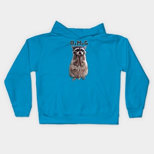 OMG Raccoon Kids Hoodie